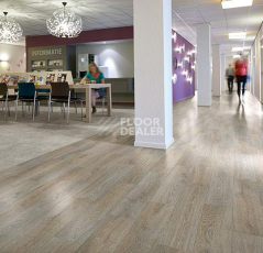 Forbo Eternal Wood 11652 vintage oak фото 2 | FLOORDEALER